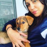 Anna Menenakou Instagram – Μήτσος … Μητσάκος … Μητσάρας 🐶
#ourdog #newmemberofthefamily #straydog #babyboy #lovehim #love #onlylove #onlyloveforanna