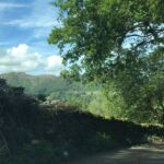 Anne Dudek Instagram – Lake District