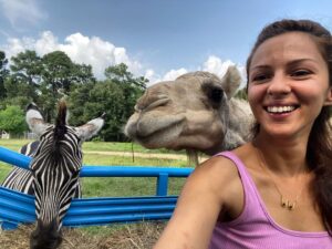 Annet Mahendru Instagram - Was so excited about my first tractor safari, I thought the camel was a baby giraffe, the entire time. I blame the zebra.