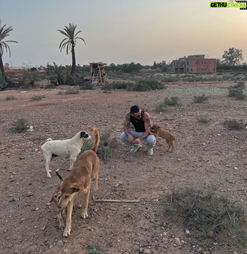 Antoine Goretti Instagram - J’ai toujours pensé être humain mais je préfère être un animal, ils ont plus de coeur que nous. Marrakech, Morocco