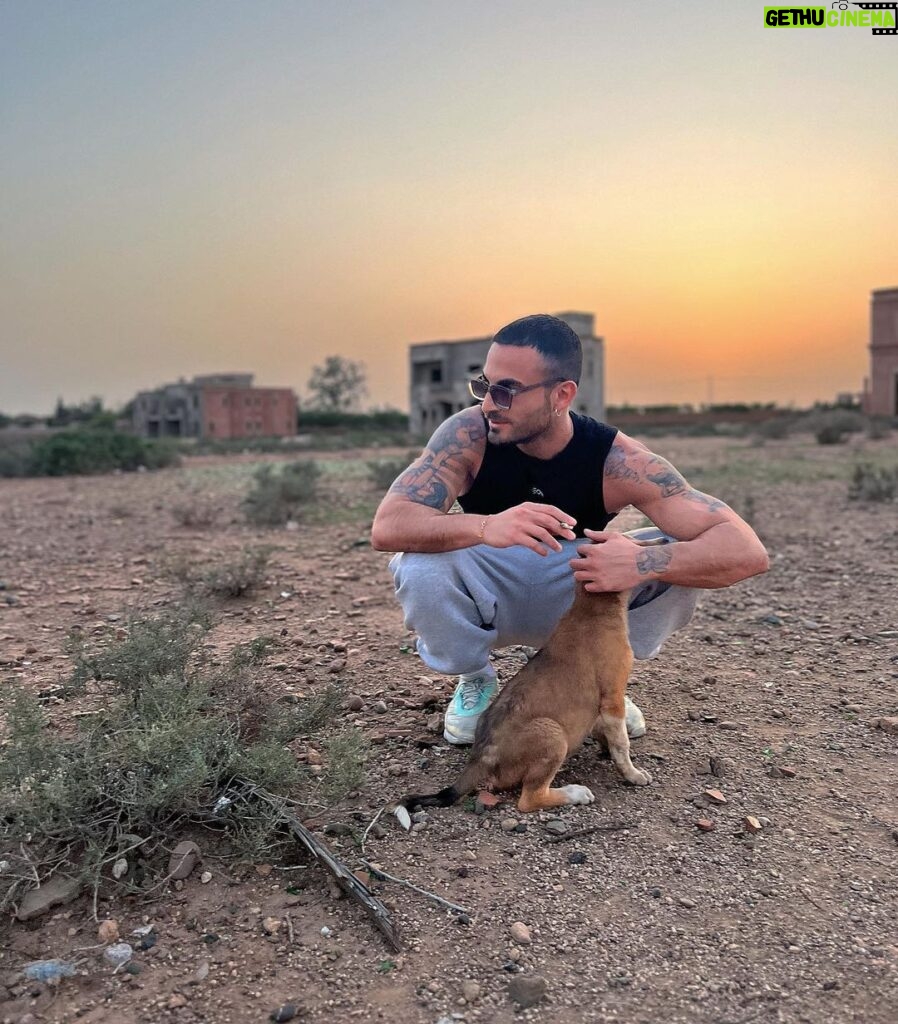 Antoine Goretti Instagram - J’ai toujours pensé être humain mais je préfère être un animal, ils ont plus de coeur que nous. Marrakech, Morocco