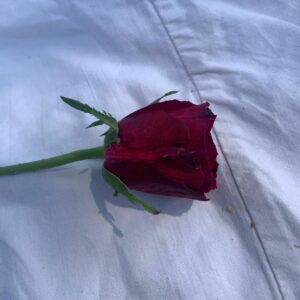 Antonio Dikele Distefano Instagram - Mi lasciò la rosa per un euro. Ti guardò e disse “siete la coppia più bella del parco “. Il tipo delle rose era riuscito a farti sorridere. Io ti guardavo e riuscivo solo a pensare “Non smettere mai di amare la vita, ricordati di sorridere e di non aver paura dei cambiamenti, delle dimenticanze, perché qualunque cosa accadrà, qualunque cosa sarai tu sarai con te. Chi ti ha lasciato ha perso, perdendoti. Ha perso qualcuno che l'aspettava, qualcuno che per amore ha sempre dato il meglio di sé senza che glielo chiedessero o l'accettassero. 
Non smettere mai di amare la vita, anche se non sei mai riuscita ad essere bambina, ad essere forte come volevi, ad essere bella come volevano. Non esistono scuse, chi ci ama ci resta vicino, perché quando si ama anche le piccole distanze sembrano enormi. Il punto di partenza diventa la geografia dei luoghi. Non smettere mai di amare la vita perché alla fine se una persona non ha saputo stare al nostro fianco quando ne ha avuto l'opportunità, mai lo meriterà”. Eravamo i più belli del parco.