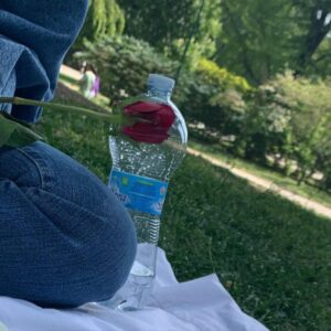 Antonio Dikele Distefano Instagram - Mi lasciò la rosa per un euro. Ti guardò e disse “siete la coppia più bella del parco “. Il tipo delle rose era riuscito a farti sorridere. Io ti guardavo e riuscivo solo a pensare “Non smettere mai di amare la vita, ricordati di sorridere e di non aver paura dei cambiamenti, delle dimenticanze, perché qualunque cosa accadrà, qualunque cosa sarai tu sarai con te. Chi ti ha lasciato ha perso, perdendoti. Ha perso qualcuno che l'aspettava, qualcuno che per amore ha sempre dato il meglio di sé senza che glielo chiedessero o l'accettassero. 
Non smettere mai di amare la vita, anche se non sei mai riuscita ad essere bambina, ad essere forte come volevi, ad essere bella come volevano. Non esistono scuse, chi ci ama ci resta vicino, perché quando si ama anche le piccole distanze sembrano enormi. Il punto di partenza diventa la geografia dei luoghi. Non smettere mai di amare la vita perché alla fine se una persona non ha saputo stare al nostro fianco quando ne ha avuto l'opportunità, mai lo meriterà”. Eravamo i più belli del parco.