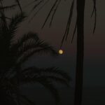 Arón Piper Instagram - Onarev 🌝🌊🌴