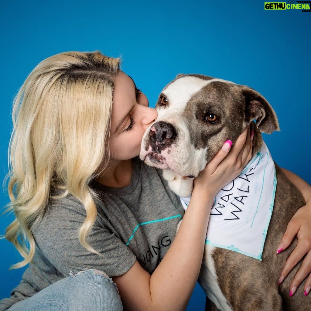Ariel Winter Instagram - Sweet, ADOPTABLE Ofelia (7years 55lbs) & I will be on @nbccalive @_kimcaldwell tomorrow promoting one of my favorite rescues @wagsandwalks, my favorite breed #pittie and #adoptdontshop !!!! Tune in 11:30am PST to see the most loving girl in the whole world! Thank you @charlienunnphotography for your work with me & Ofelia, and always doing what you can to help deserving pups like her find their forever homes! Swipe to see me smother her with kisses and a video at the end showing just how much of a cozy girl she is🥰 go to wagsandwalks.org to find out more information regarding fostering, donating, ADOPTINGGGG and more❤️ #pitbull #pitbulls #pitbullsofinstagram #adoptdontshop #rescuedog #rescuedogsofinstagram #nbc #dogphotography #news #love #adoptme Wags and Walks