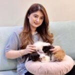 Arishfa Khan Instagram - Spending time with my cuties🫶🏻❤️🥺🌎 They are 1 month old now (26 dec)🥹 @arishfa.petsss #catsofinstagram #kittens #animalhumanbond
