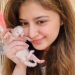 Arishfa Khan Instagram - New family members❤️🥺 Say “MASHALLAH” in the comments! They are just 3 days born babies😍 Omg😳 now i have 9 cats 🐈 Allah bless them🤲🏻