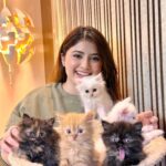 Arishfa Khan Instagram - Happy 2 months my little babies❤️🐾 You’ll are my life🫀🥺 (26.01.2024) #kittens #catsofinstagram #2monthscomplete