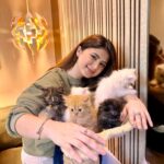 Arishfa Khan Instagram - Happy 2 months my little babies❤️🐾 You’ll are my life🫀🥺 (26.01.2024) #kittens #catsofinstagram #2monthscomplete