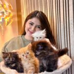 Arishfa Khan Instagram - Happy 2 months my little babies❤️🐾 You’ll are my life🫀🥺 (26.01.2024) #kittens #catsofinstagram #2monthscomplete