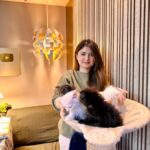 Arishfa Khan Instagram - Happy 2 months my little babies❤️🐾 You’ll are my life🫀🥺 (26.01.2024) #kittens #catsofinstagram #2monthscomplete