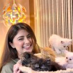 Arishfa Khan Instagram - Happy 2 months my little babies❤️🐾 You’ll are my life🫀🥺 (26.01.2024) #kittens #catsofinstagram #2monthscomplete