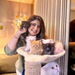 Arishfa Khan Instagram - Happy 2 months my little babies❤️🐾 You’ll are my life🫀🥺 (26.01.2024) #kittens #catsofinstagram #2monthscomplete