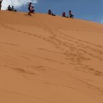 Armani Jackson Instagram - went sand duning today ! swipe to the end to see me eat a little shit 🏜️ Coral Pink Sand Dunes St Park-W Ent