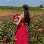 Artemis Instagram – flower girl 💐 Southern Belle Farms