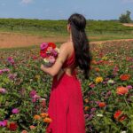 Artemis Instagram - flower girl 💐 Southern Belle Farms