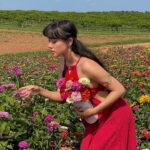 Artemis Instagram - flower girl 💐 Southern Belle Farms