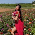 Artemis Instagram - flower girl 💐 Southern Belle Farms