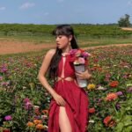 Artemis Instagram - flower girl 💐 Southern Belle Farms
