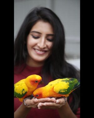 Ashika Yash Instagram - May it be anything u feel 
Happiness, joy , sorrow , stress , anxiety, love , lust or that excitement .
The only thing that’s gonna be with you throughout is just that one voice in your head , it’s your voice .
Whatever you do just let it be kind and gentle , as much as you possibly can . Give some sense of humour and maybe a cool accent ♥️✨
.
.
.

Pc : @_akshey_sudhakar_ @akshey_photography ♥️✨
.
.

#Instagram #instagood #instadaily #instablogger #instaviral #instavlog #instavlogger #tollywood #kollywood #kollywoodcinema #kollywoodactress #tollywoodactress #tamilactress #tamilheroine #teluguheroine #teluguactress #chennaiagainstcaa #reelsindia #lifestyle #hope #viral #trending #love #model #chennaimodels #buddingartist #hariteck #aksheysudhakar #ashikayash