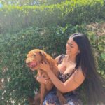 Ashnaa Sasikaran Instagram - Feeding cake to my babies on my 21st bday😌😂 thank you all for your lovely birthday wishes yesterday, feel super blessed and loved!!🥺🥺 genuinelyyyyy forever grateful for the constant love and support, and hope my adorable pups bless your feed today😅 (haven’t posted something other than music for a long while😂) xx And thank you Amma for stitching me my beautiful dress🥺 @vani.sasikaran xx 📸: @veenaa_s 😘 Also cream cake >>> any other type of cake, am I right or am I right ?!?!