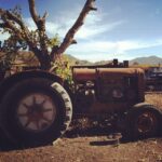 Ashton Kutcher Instagram -