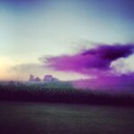 Ashton Kutcher Instagram - Purple haze on the farm