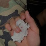 Atthaphan Phunsawat Instagram -