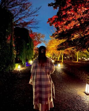 Aya Yamane Instagram - 🍁✨
#京都 #kyoto #清水寺 #下鴨神社 #二条城 #二条城ライトアップ #kiyomizudera