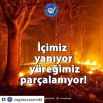 Ayda Aksel Instagram -