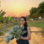 Ayesha Kaduskar Instagram - swipe to see baby veggies 🥺