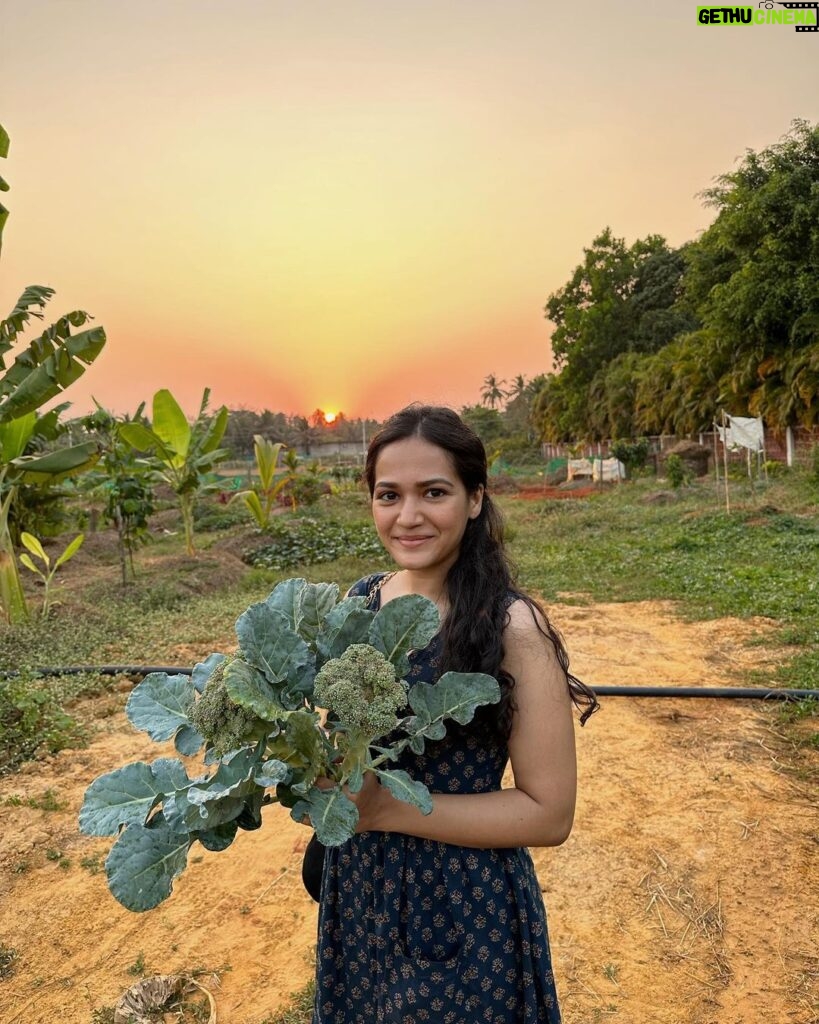 Ayesha Kaduskar Instagram - swipe to see baby veggies 🥺