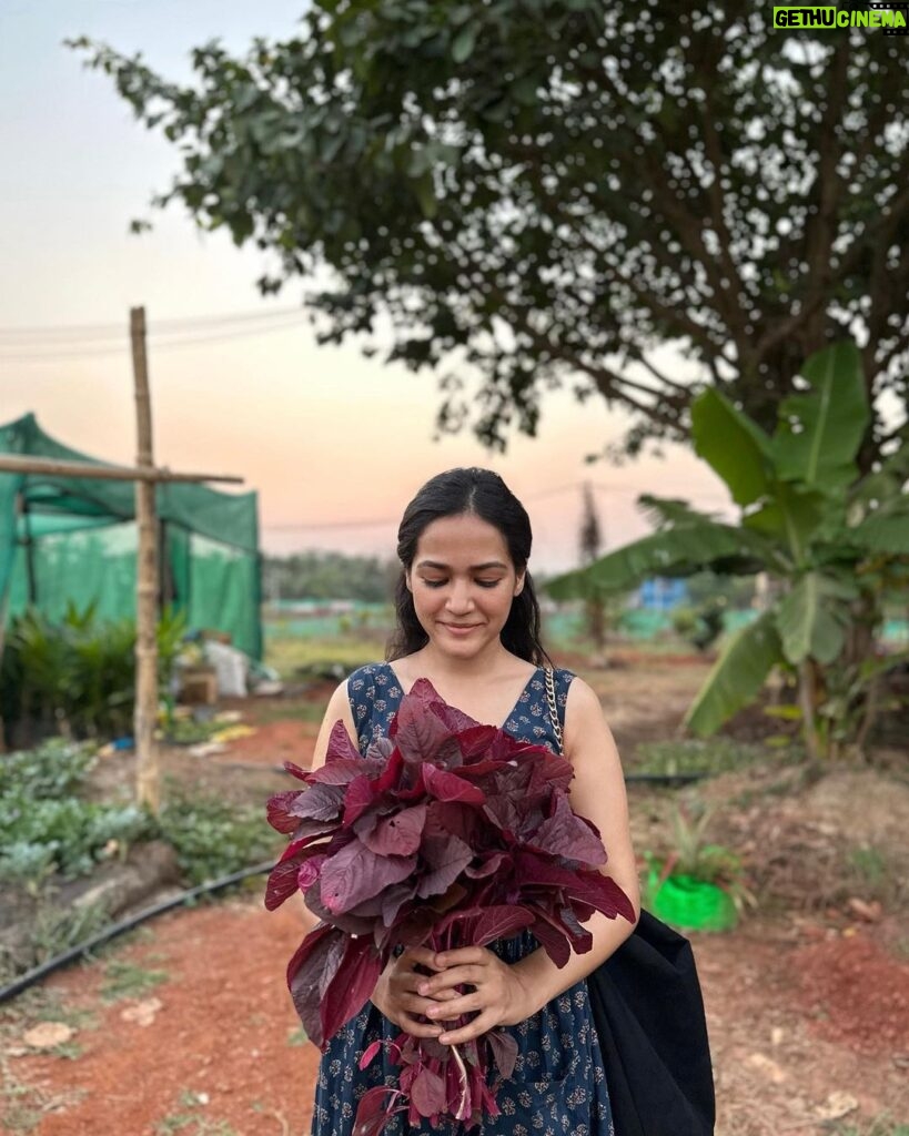Ayesha Kaduskar Instagram - swipe to see baby veggies 🥺