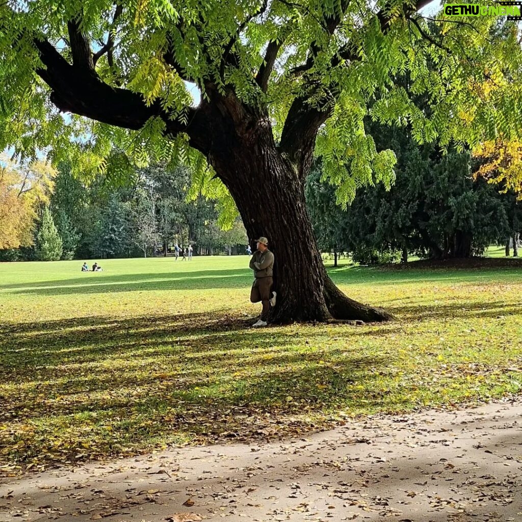 Azer Aydemir Instagram - #treeoflife Margit-sziget