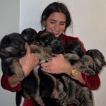 Bárbara de Regil Instagram - Nunca voy a olvidar esta experiencia que me regalo Kai ( segunda foto ) y Enzo el papa ( tercera foto ) Fueron 6 perritos - ya 4 meses después regalamos a 5 🐾 A 5 familias que conozco y quiero y se van a AMARLOS y cuidarlos como yo lo haría , la que se quedó conmigo fue Hakuna 🦋 Btw : después de esta experiencia ya todos mis perros esterilizados 😅 Mexico