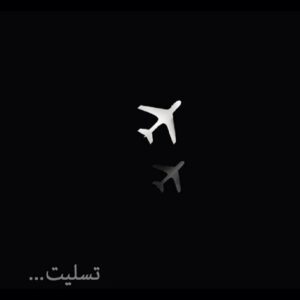 Babak Hamidian Instagram - اول تسلیت میگم به خانواده ی بازمانده ها و همه ی هموطنای عزیزم .
دوم می خوام بگم واقعا مردم ایران لیاقتشون اینه؟؟؟ کشوری که جزء برترین استخراج کننده های طلای سیاه هستش باید وضع مردمش این باشه؟! این نوع هواپیما تو کل دنیا ۵ بار حادثه براش پیش اومده، ۳ مرتبه ش توی ایران بوده! چرا به اینجا کشید کارمون؟!
این نوع هواپیما توی اولین پرواز آزمایشی هم دچار صانحه شده، چطور اجازه ی پرواز داده شده؟؟؟ خون کودک نوزاد گردن اون آقایی نیست که گفت تحریم ها کاغذ پاره ست؟! قطعنامه بدید تا قطعنامه دونتون پاره بشه! 
تلفات حوادث رانندگی یک روز ایران، برابره با تعداد شهدای جنگ غزه! و این فاجعه ست. کشوری که درش صلح برقراره، به اندازه ی یک کشور درحال جنگ تلفات میده! حتی به زبون آوردنش هم سخته!
قطار مسافربری هم توی سمنان از ریل خارج شده و هنوز مشخص نیست چه تعداد مجروح داشته ...
یه جایی باید جلوی این اتفاقات گرفته بشه، یه جایی باید بفهمیم که باید "به این مردم احترام گذاشت". یه جایی باید بفهمیم که ایرانی لیاقتش 'پراید' و 'توپولوف' و 'آنتونف' نیست!
آقایونی که دغدغه شون چیزی نیست جز ساپورت پوشیدن بانوان، شلوارک پوشیدن هنرمندان و تلاش برای ممنوع التصویر شدن بازیگران و ممنوع البیان (!!!) کردن رئیس جمهورهای پیشین، پاسخگو باشند لطفا.
امیدوارم امشب بتونن آسوده سر به بالین بذارن ...
#با #تمام #وجود #غمگینم