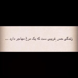 Babak Hamidian Instagram - دلتنگم ...