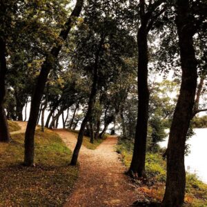 Babben Larsson Instagram - Tack alla ni som hört av er efter ”Tilde” i kväll. Jättekul att ni gillade ”Vägen Hem”. Om ni vill lyssna igen ligger den på Spotify. Följ länken i bio, spår nr 1 på albumet.