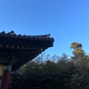 Bae Hyun-jin Instagram - 서울 봉은사 원명 주지 스님께 세배 하러 다녀왔습니다.

봉은사 침수쌍화차로 셋이 오붓하게 분위기도 잡고
큰 스님께 
마음이 맑고 따뜻해지는 격려 말씀도  듣고 왔어요
고맙습니다.♡♡♡

#박정훈 #김성용 #배현진 그리고 겸댕이 #천수🐶