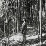 Barbara Pravi Instagram - Dans ma pellicule 🎞️🌹 Un peu de studio, un peu de Canada, un peu d’été mais surtout des gens que j’aime La-La-Land