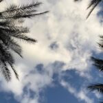 Baz Luhrmann Instagram - TCB from Palm Springs ⚡️#tcbheadlines #elvismovie