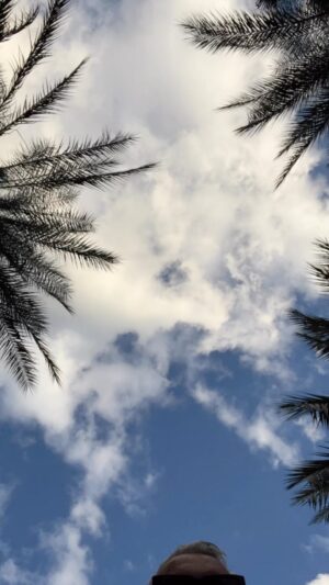 Baz Luhrmann Instagram - TCB from Palm Springs ⚡️#tcbheadlines #elvismovie