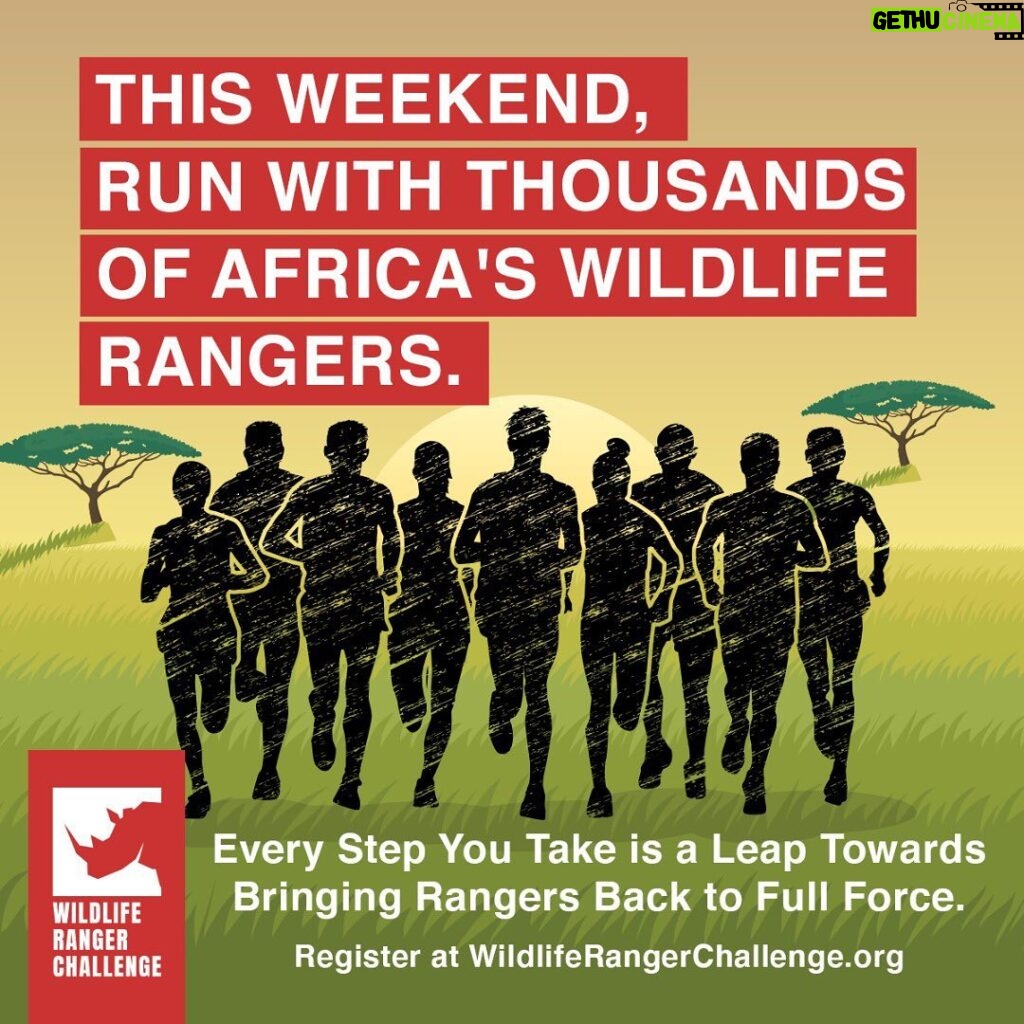 Behati Prinsloo Instagram - Today is THE DAY! Get running and get giving to the World Ranger Challenge! You can make a difference by running and donating to support @savetherhinonamibia and 150 teams of brave men and women throughout Africa who are joining the challenge. Register at WildifeRangerChallenge.org #ForWildlifeRangers. Please make a donation today using this link.: justgiving.com/campaign/wildliferangerchallenge2021 For supporters in USA, please use this link: https://wildliferangerchallenge.org/donate-usa/