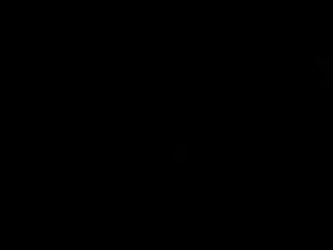 Behrang Toufighi Instagram - .
@saeednematollah 
@zainab.taghvaei 
@behnam__karimi 
@sheyban_kh
@mohammad.daraii 
@alizandevakili