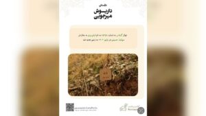 Behrang Toufighi Instagram - باغستان داریوش مهرجویی» در سالروز تولد ایشان، با همدلی و حمایت جمع کثیری از هنرمندان بنا شد.
زنده‌یاد داریوش مهرجویی در ۱۷ آذر ماه سال ۱۳۱۸ چشم بر جهان گشودند و در تمام عمر پر بارشان همواره آثار گرانقدر ایشان چراغ راه سینمای ایران
و فرهنگ ایران‌زمین بوده است.
آثار پر شور و سراسر عشق به طبیعت‌شان ما را برآن داشت تا در زادروز ایشان برای گرامیداشت نام و یاد و آثار این هنرمند بزرگ و تکرار نشدنی و همسر هنرمندشان خانم وحیده محمدی فر،
«باغستان داریوش مهرجویی»را در منطقه جاجرود
بنا کنیم، باشد که این باغستان سبز هم همچون نام و آثارشان، به خیر و نیکی بماند برای آیندگان.
.
بسیار خرسندیم از اهدای ۴۰۰ نهال به زمین
و سپاس‌گزاریم از جناب فرهاد فزونی گرامی و زحمات بی‌دریغ‌شان و موسسه روستا گل، که کاشت نهال‌ها و خدمات نگهداری از این باغستان را بر عهده گرفتند.
یاد و نام «جناب داریوش مهرجویی
و خانوم وحیده محمدی فر»
همواره در دل طبیعت و همه ما سبز است و زنده و جاویدان.
@roostagol 
#داریوش_مهرجویی 
#وحیده_محمدی_فر
