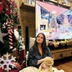 Betül Şahin Instagram - 😽🐱💛🤍 Huzurlu 2024 olsun🍀