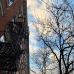 Bo Maerten Instagram - lente beginnetjes in nyc met ❤️