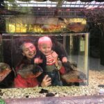 Bo Maerten Instagram - moos & piranhas A Love Story