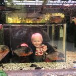 Bo Maerten Instagram - moos & piranhas A Love Story