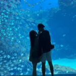 Boat Anakame Binsaman Instagram - You are my aquawoman 🩵 X Park水族館/華泰名品城outlet